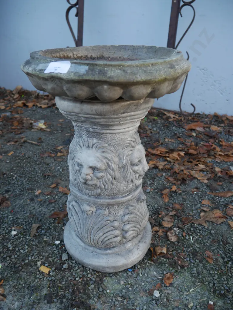 Bird bath Image 1++