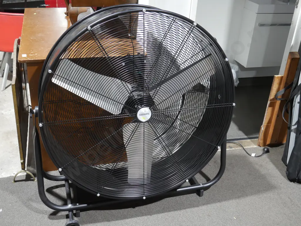 Large Euromatic fan Image 1++