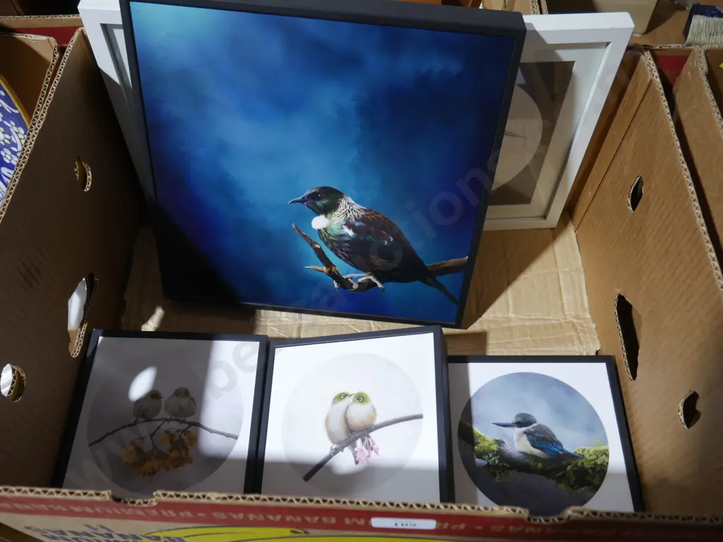 Bird artworks/pictures Image 1++