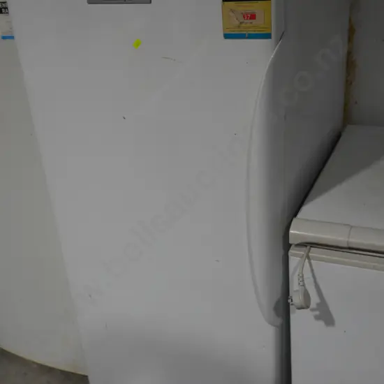 Fisher & Paykel upright freezer