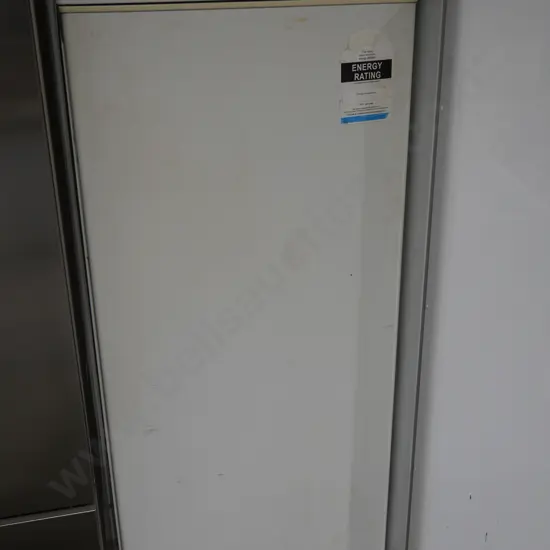Upright freezer
