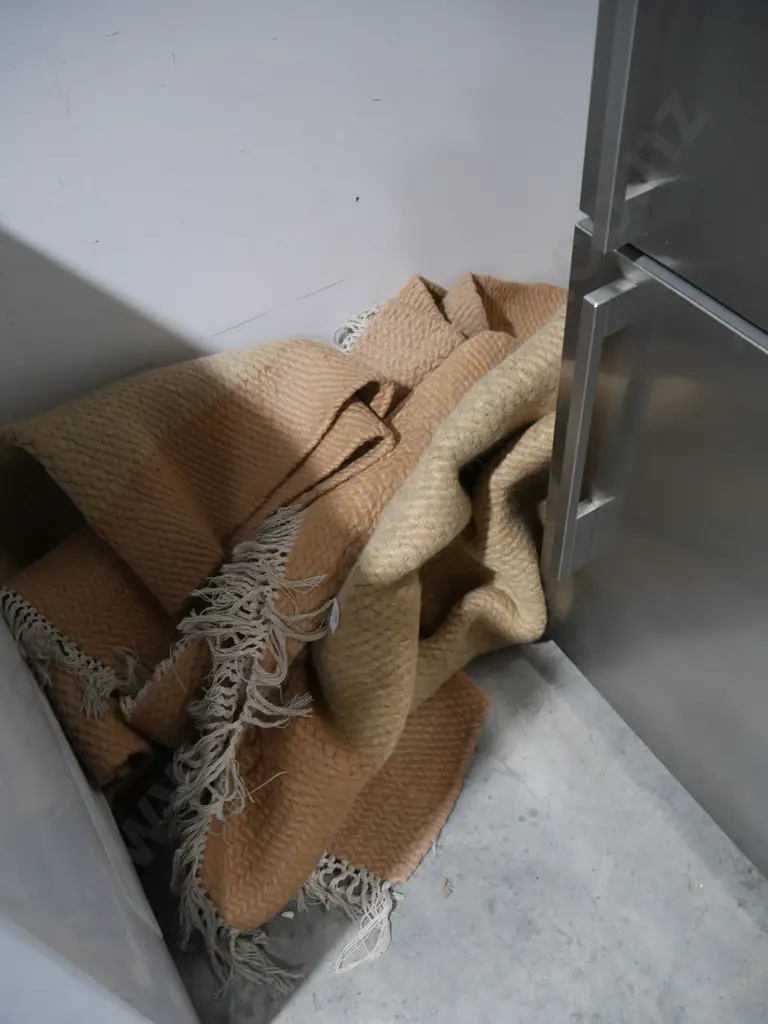 2 floor rugs Image 1++