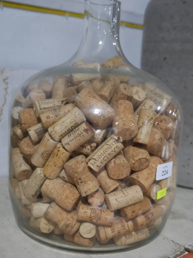 Carboy with corks Image 1++