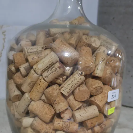 Carboy with corks