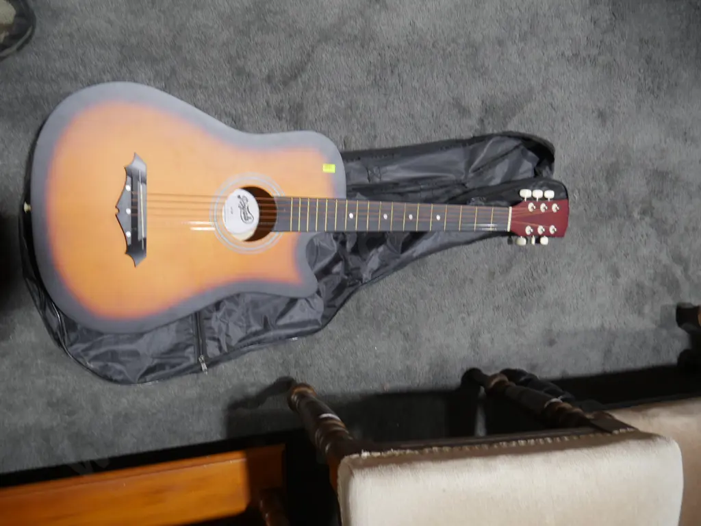 Royale guitar Image 1++