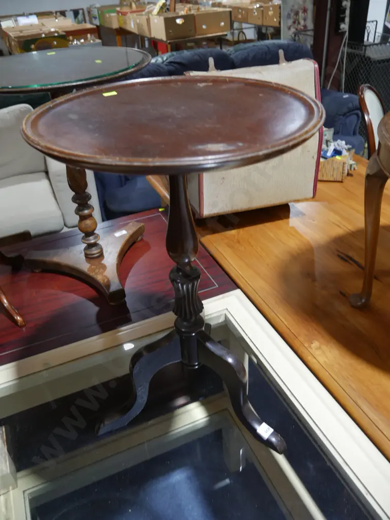 Plant table Image 1++