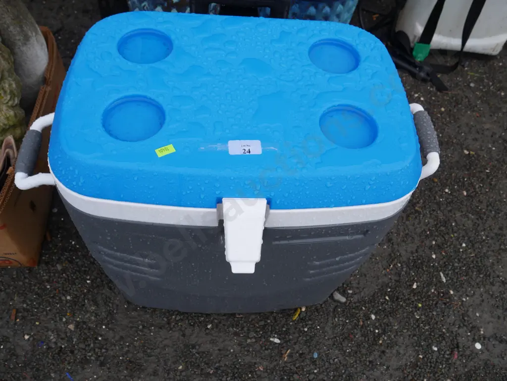 Chilly bin Image 1++