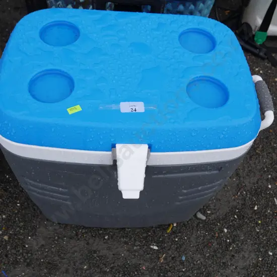 Chilly bin