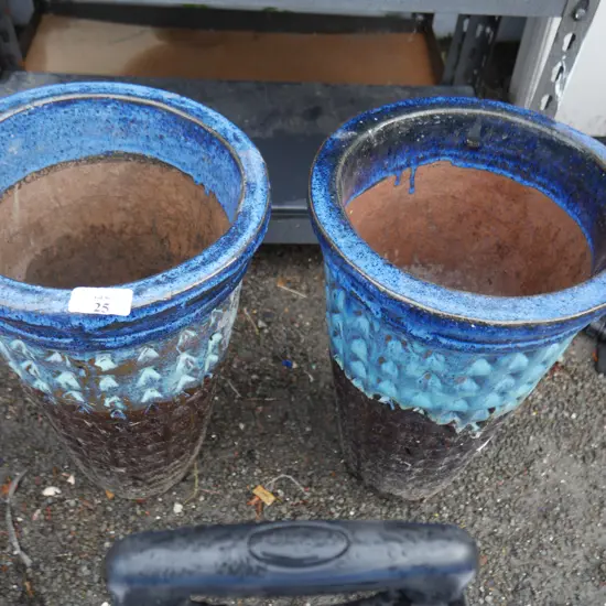 2 plant pots