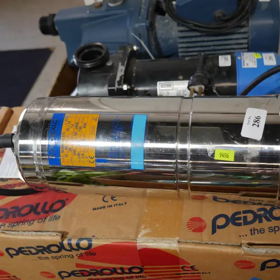 Pedrollo water pump