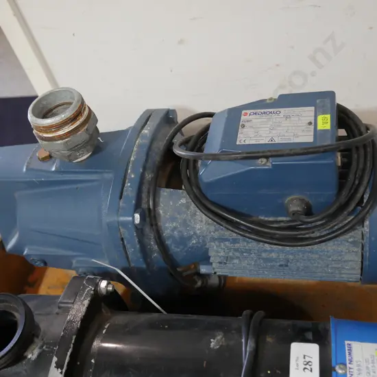 Pedrollo water pump