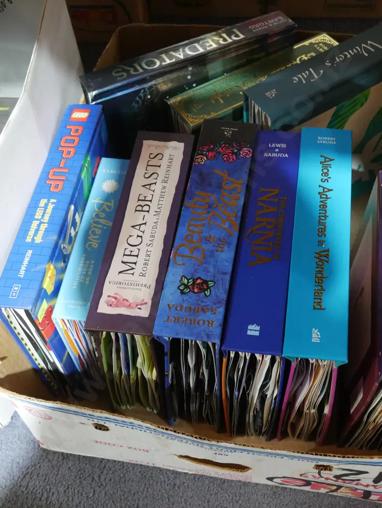 Pop up books Image 1++