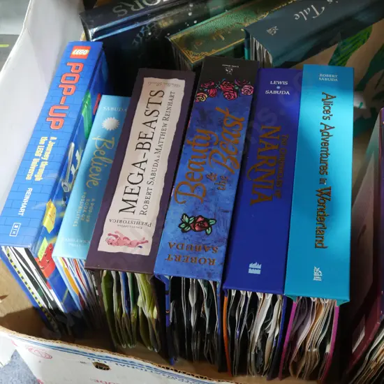 Pop up books