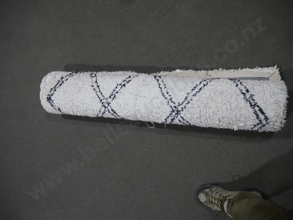 Rug Image 1++