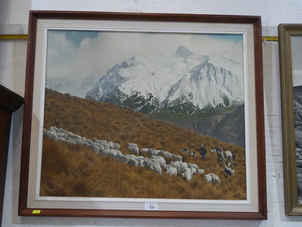 Coloured photograph, Canterbury high country Image 1++