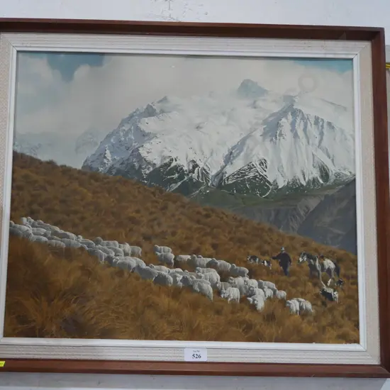 Coloured photograph, Canterbury high country