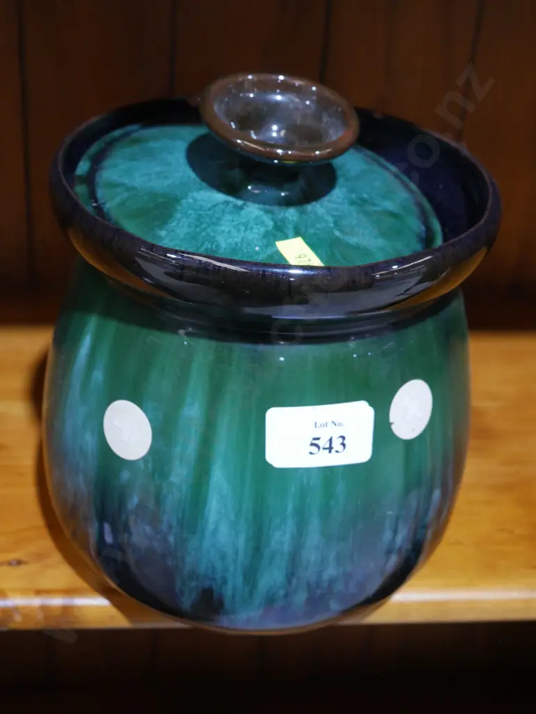 Blue mountain container Image 1++