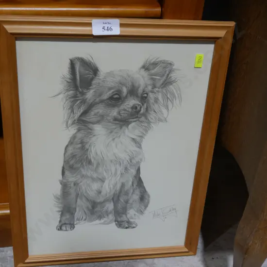 Dog drawing