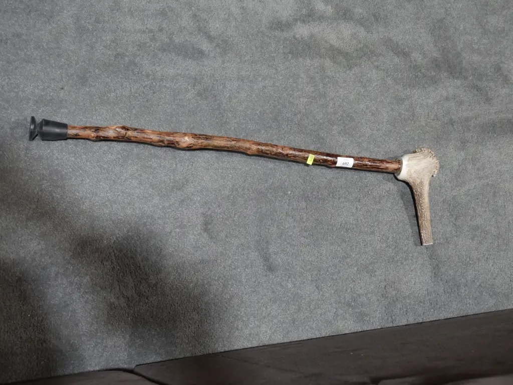 Horn handled walking stick Image 1++