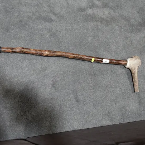Horn handled walking stick