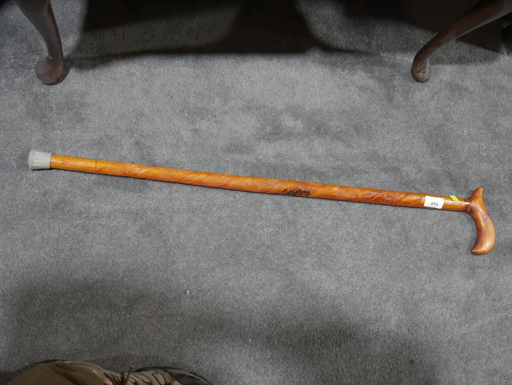 Walking stick Image 1++