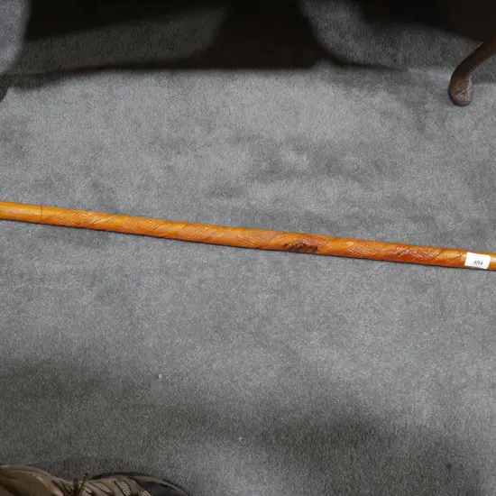 Walking stick