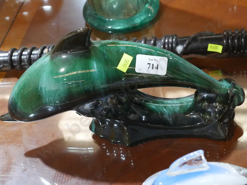 BMP dolphin Image 1++