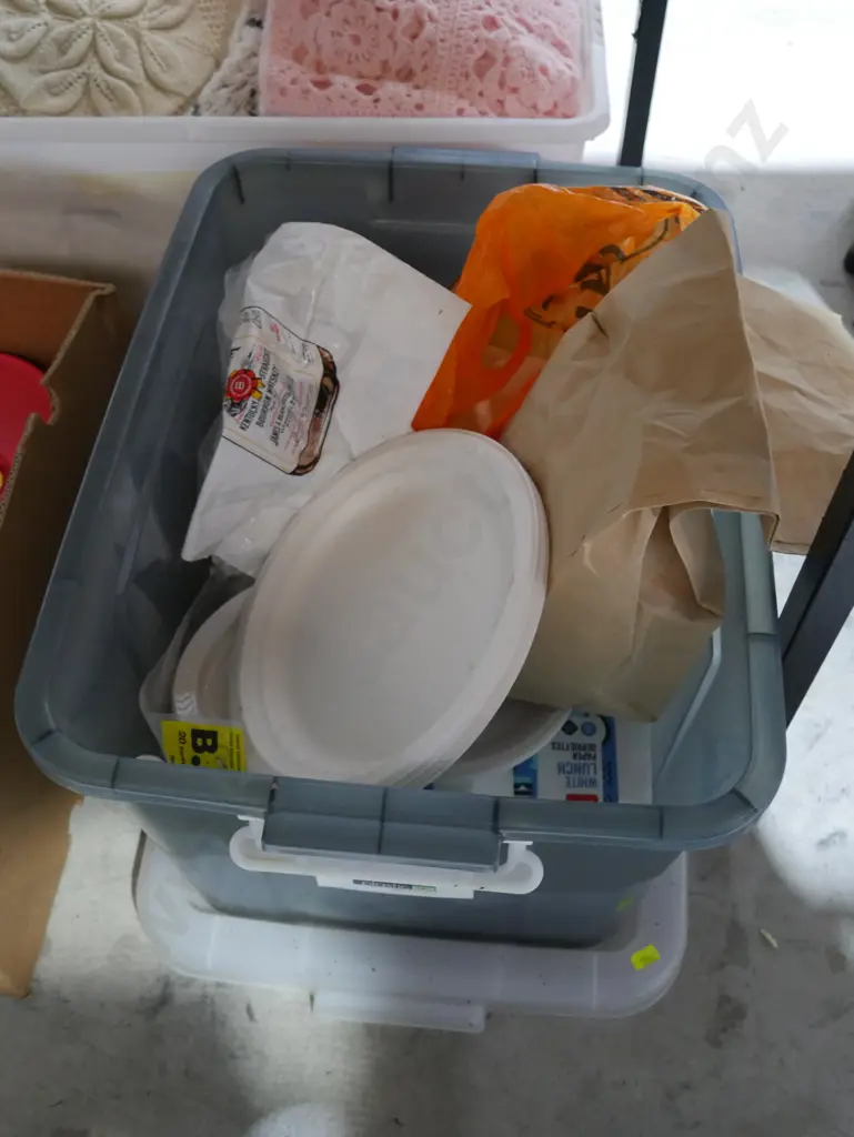 Disposable party/picnic ware Image 1++