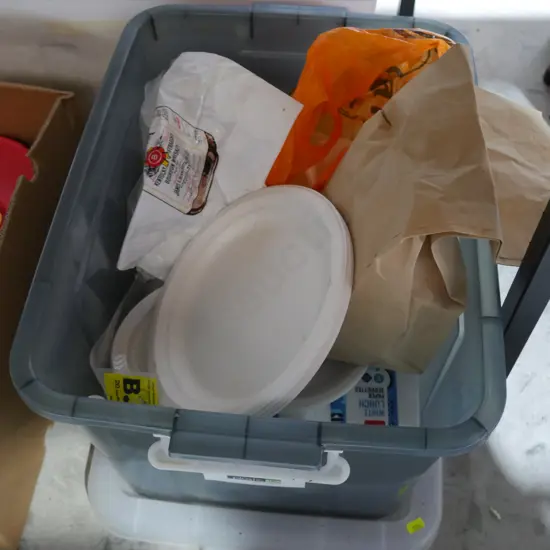 Disposable party/picnic ware