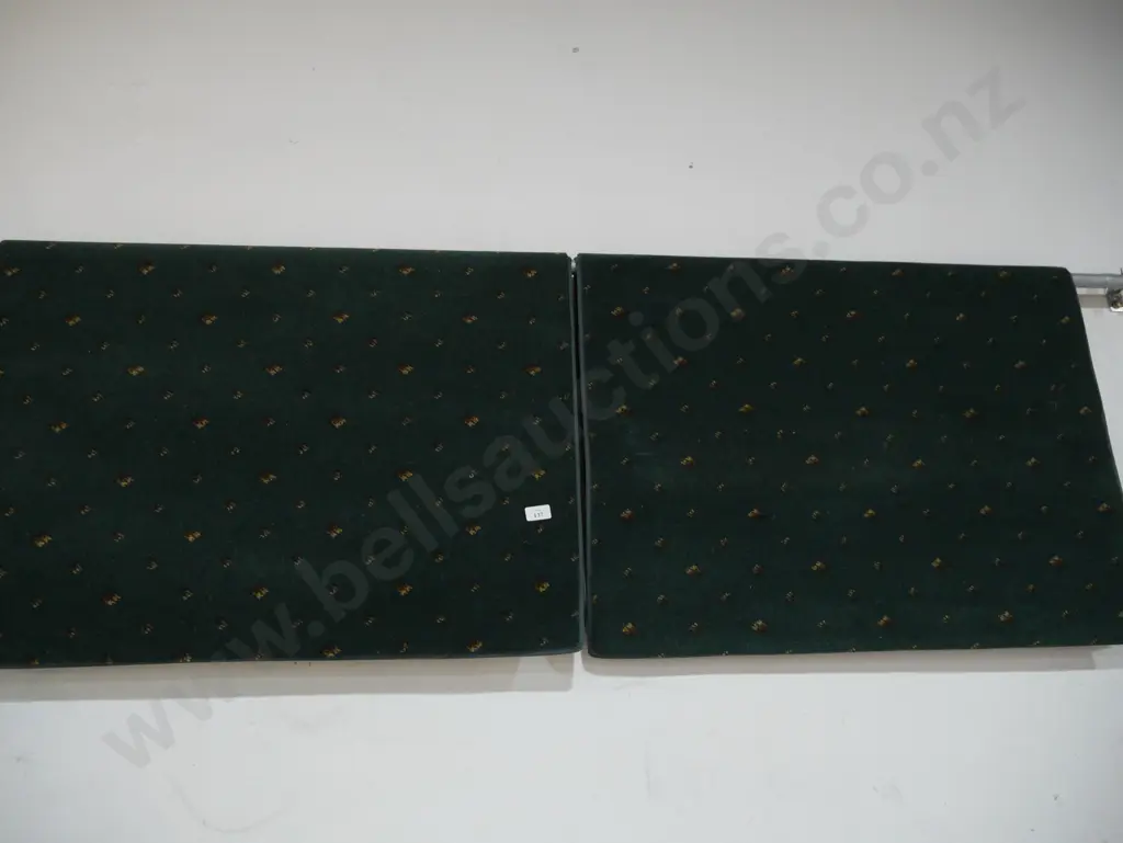 Pair of green rugs Image 1++