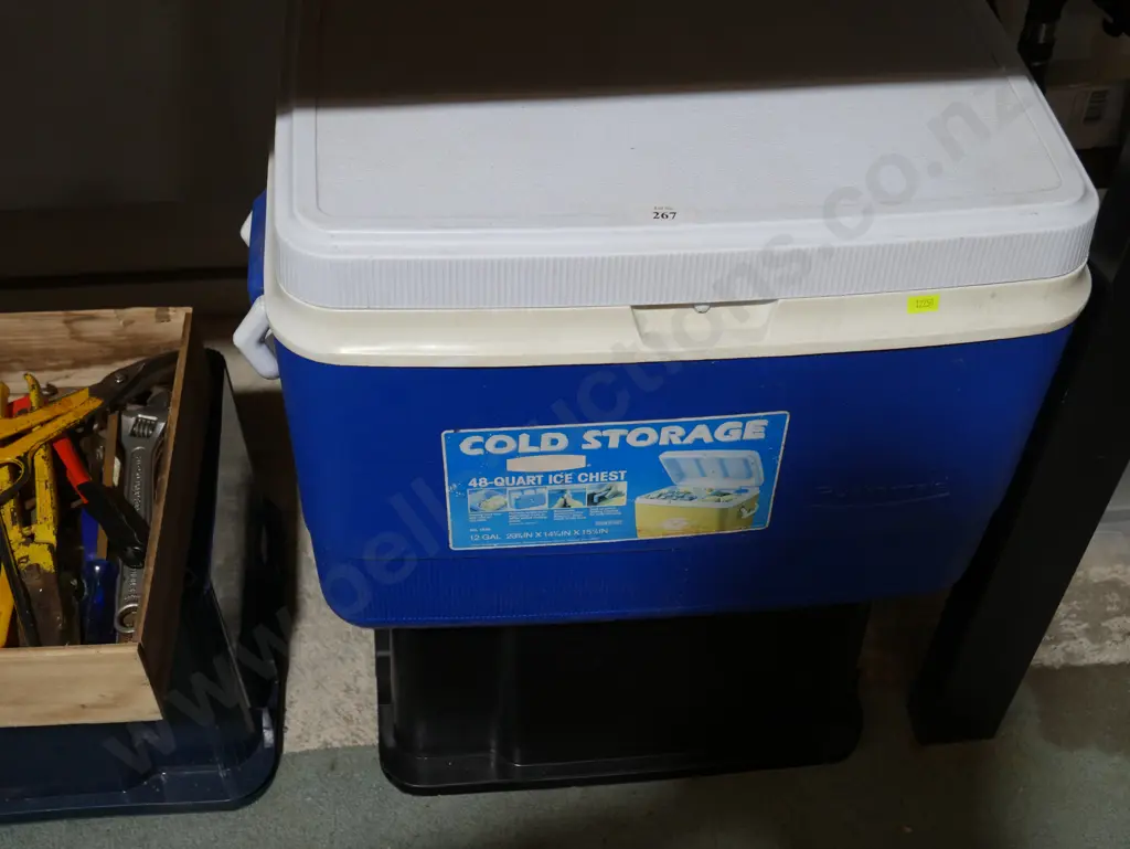 Chilly bin Image 1++