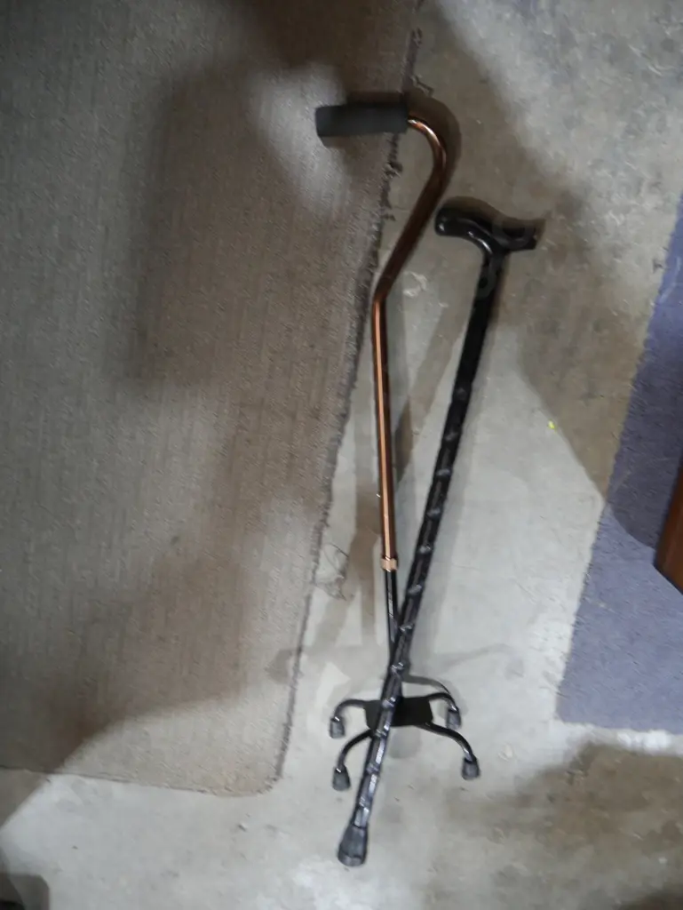 Walking sticks Image 1++