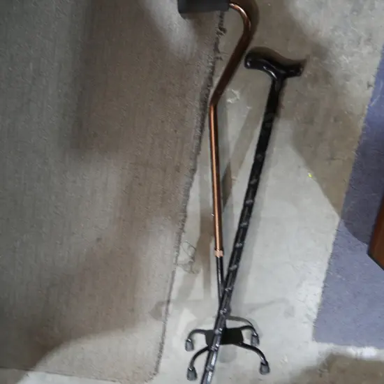 Walking sticks