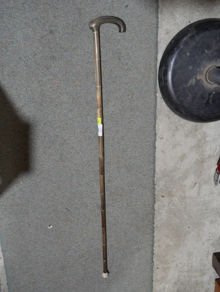 Walking sticks Image 1++