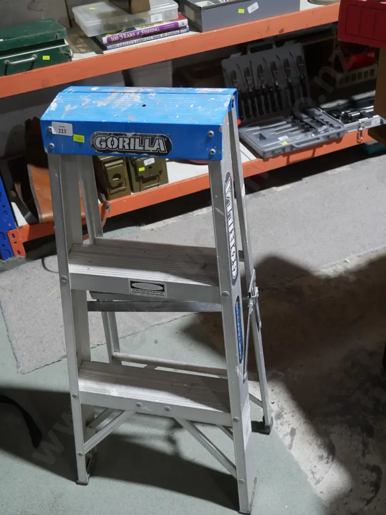 Stepladder Image 1++