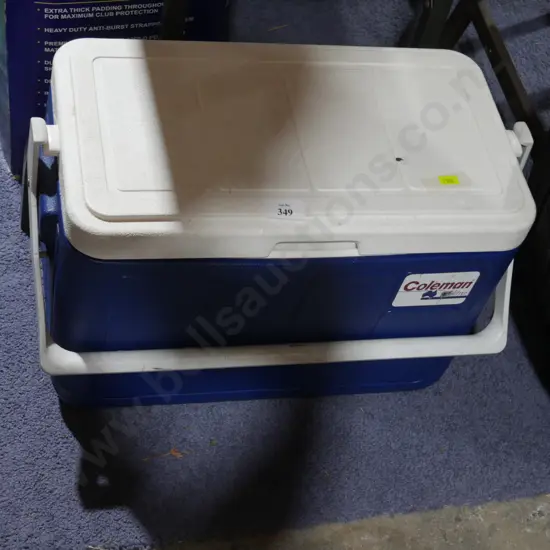 Coleman chily bin