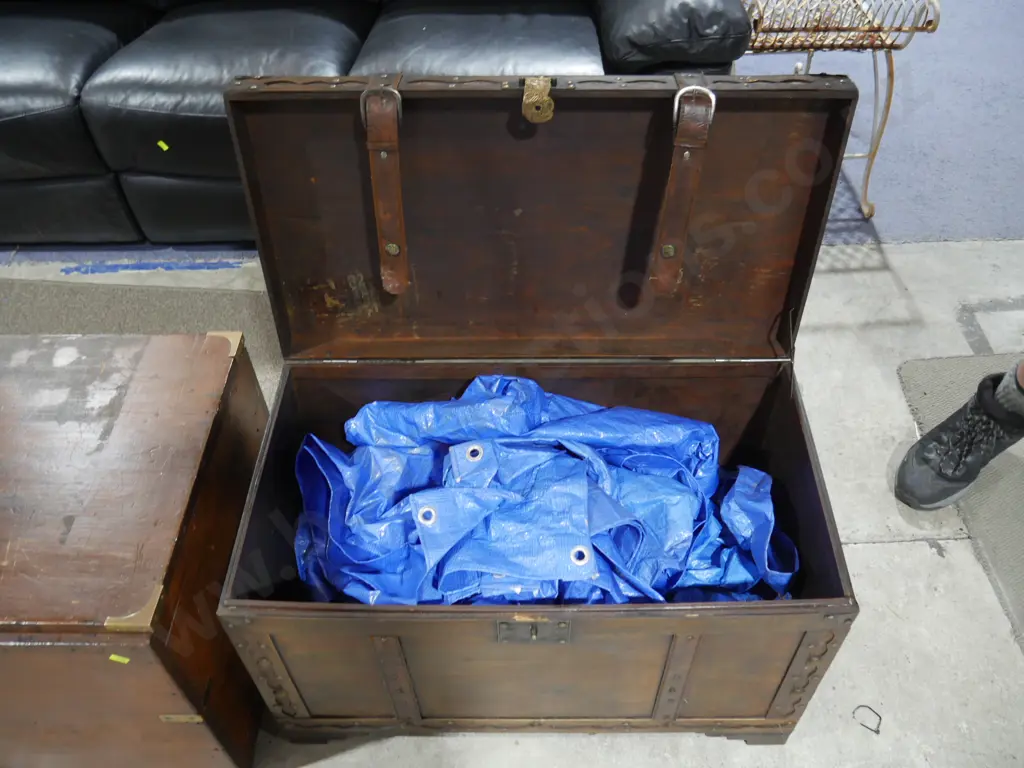 Trunk Image 1++