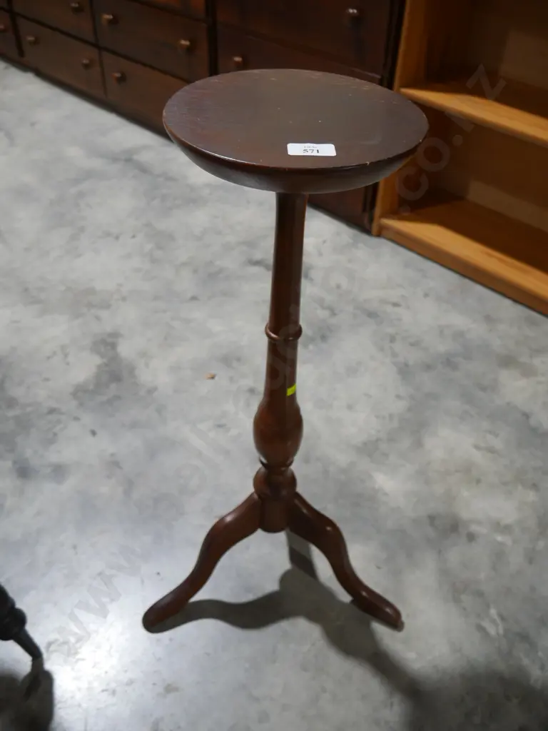 Plant table Image 1++