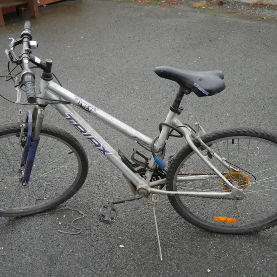 Triax ladies bike