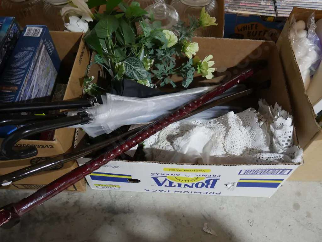 Umbrella, walking sticks etc Image 1++