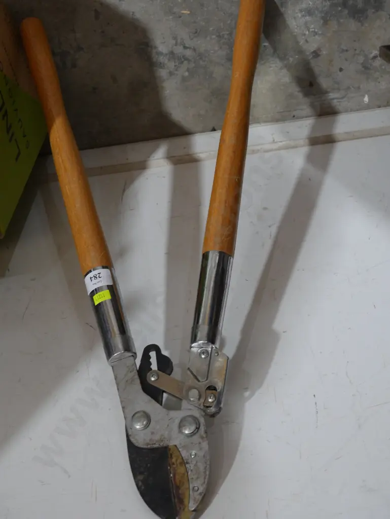 Loppers Image 1++