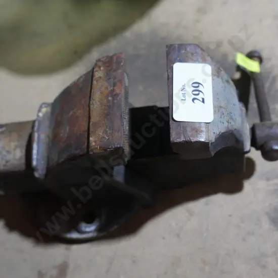 Small vice