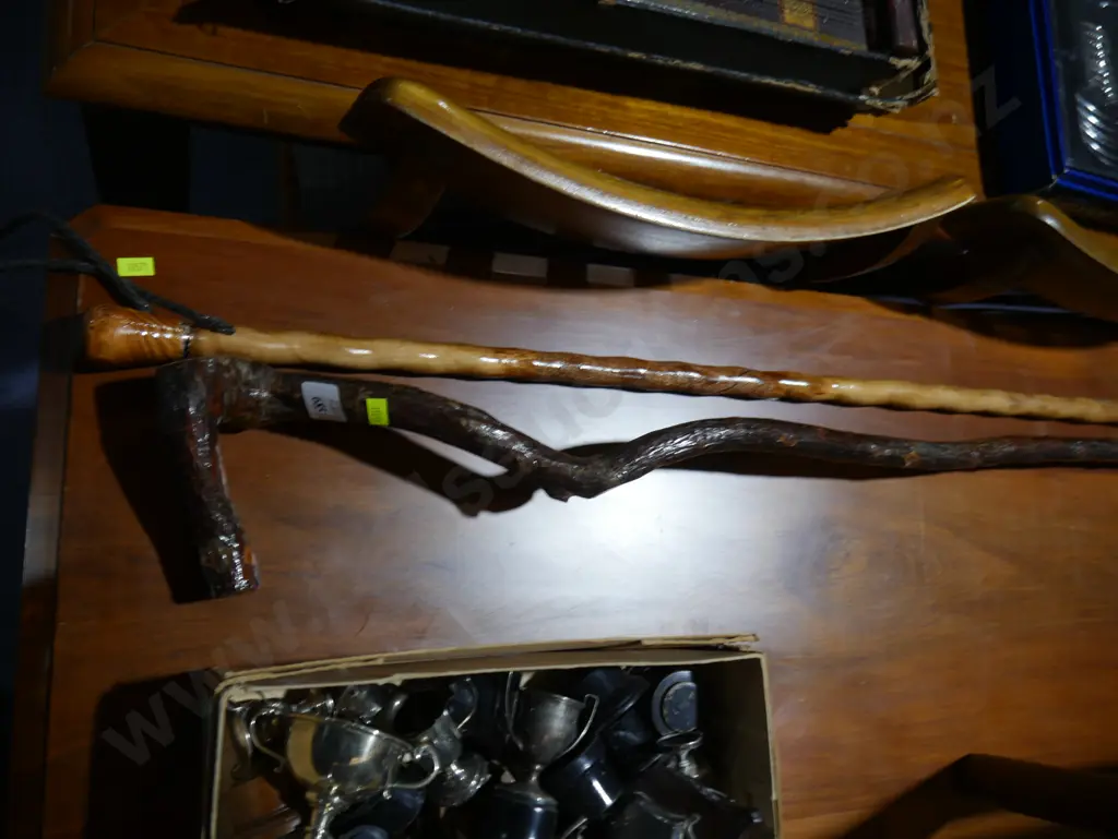 Two walking sticks Image 1++
