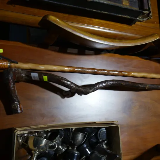 Two walking sticks