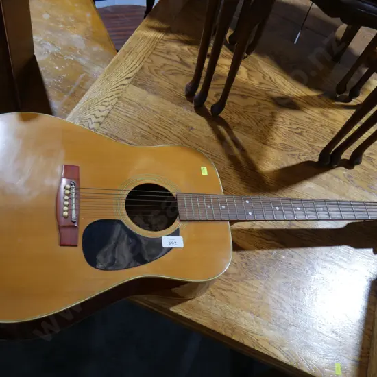 Earthwood guitar