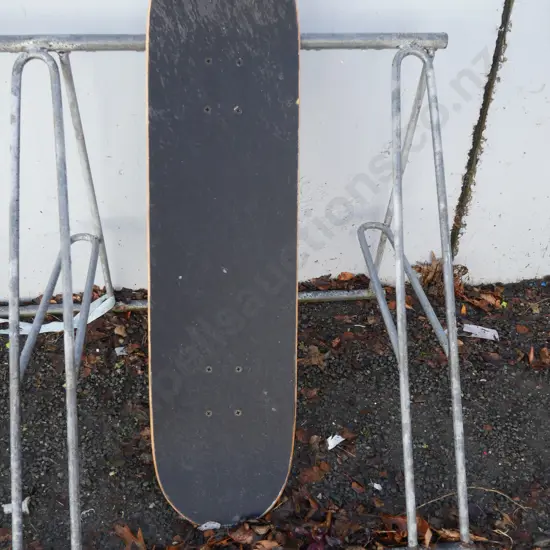 Skateboard