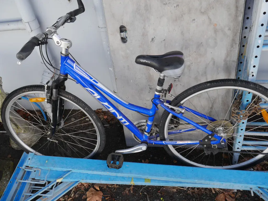 Avanti mountain bike Image 1++