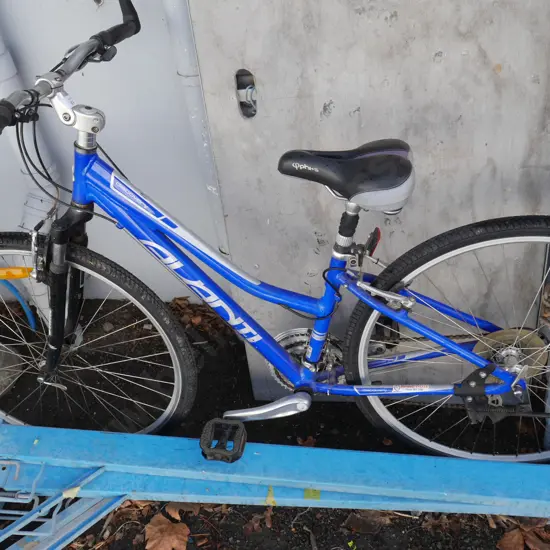 Avanti mountain bike