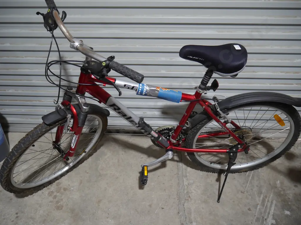 Raleigh bike Image 1++