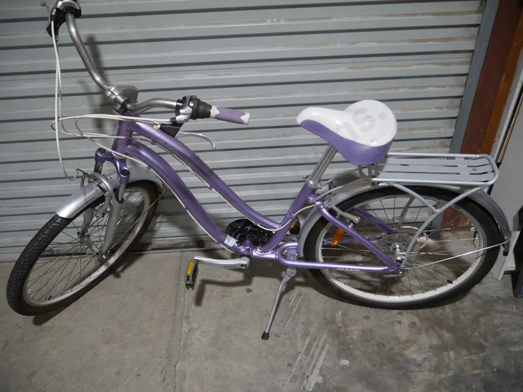 Suede ladies bike Image 1++